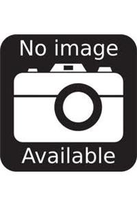 localized damage computer aided assessment and control vol 1 fatigue and fracture mechanics 1st edition m h