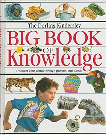 the big book of knowledge 1st edition sarah phillips 1564585182, 978-1564585189