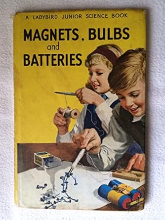 magnets bulbs and batteries 1st edition f e newing 072140118x, 978-0721401188
