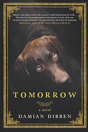 tomorrow a novel 1st edition damian dibben 1335580298, 978-1335580290