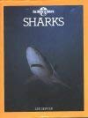sharks 1st edition lee server 0517690918, 978-0517690918