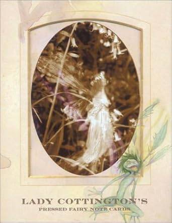 lady cottingtons pressed fairy album notecards in a slipcase with drawer 1st edition brian froud 0810985446,
