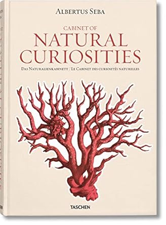 seba cabinet of natural curiosities 1st edition albertus seba ,rainer willmann ,jes rust ,volker wissemann