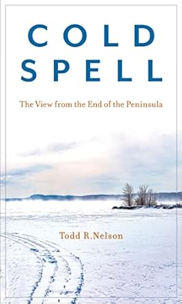 cold spell the view from the end of the peninsula 1st edition todd r nelson 1684750571, 978-1684750573