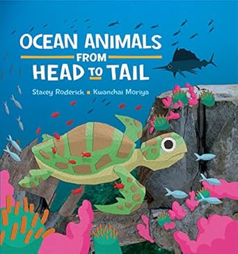 ocean animals from head to tail 1st edition stacey roderick 1445152053, 978-1445152059