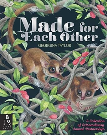 made for each other 1st edition joanna mcinerney 1787414248, 978-1787414242