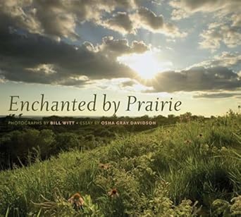 enchanted by prairie 1st edition osha gray davidson ,bill witt 1587298031, 978-1587298035