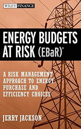 energy budgets at risk a risk management approach to energy purchase and efficiency choices 1st edition j