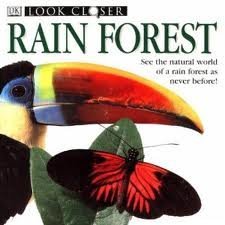 rainforest 1st edition barbara taylor 0863187730, 978-0863187735