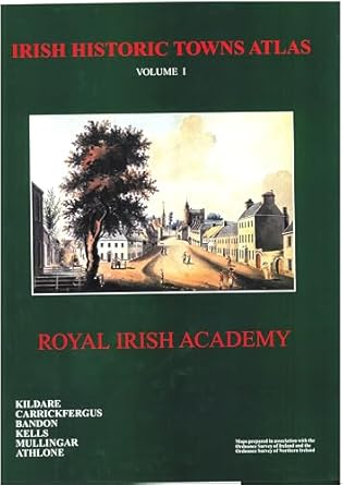 irish historic towns atlas bound vol 1 1st edition raymond gillespie mria ,anngret simms mria ,h b clarke