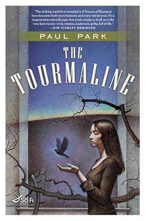 the tourmaline 1st edition paul park 076531441x, 978-0765314413