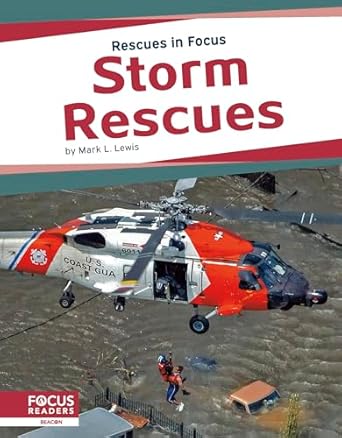 storm rescues 1st edition mark l lewis 1641857749, 978-1641857741