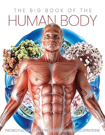 the big book of the human body 1st edition katharine marsh 1912918749, 978-1912918744