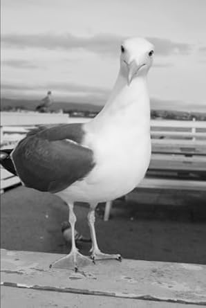 recueil de poemes classiques 1st edition romane matter 2959734459, 978-2959734458