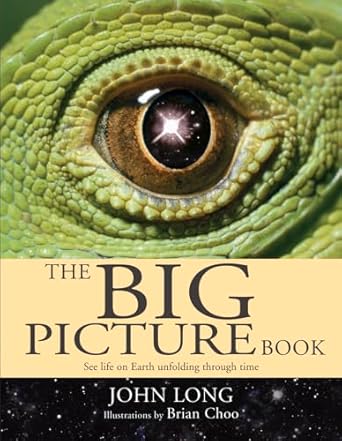 the big picture book 1st edition john long ,brian choo 1741143284, 978-1741143287