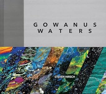 gowanus waters 1st edition steven hirsch 1576877922, 978-1576877920