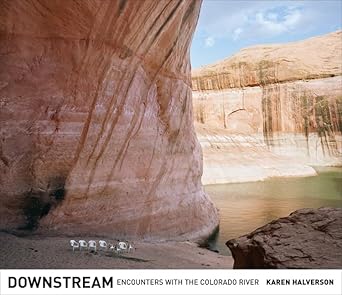 downstream encounters with the colorado river 1st edition karen halverson ,william f deverell 0520253469,