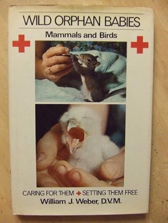 wild orphan babies mammals and birds caring for them and setting them free 1st edition william j weber