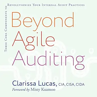 beyond agile auditing three core components to revolutionize your internal audit practices 1st edition