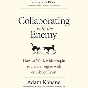 collaborating with the enemy how to work with people you dont agree with or like or trust 1st edition adam