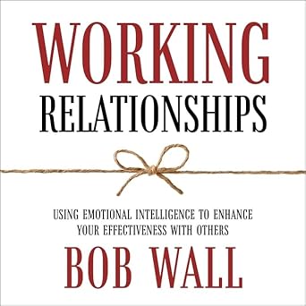 working relationships lib/e using emotional intelligence to enhance your effectiveness with others unabridged