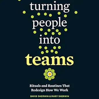 turning people into teams habits rituals and routines that redesign how we work 1st edition david sherwin