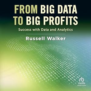 from big data to big profits success with data and analytics 1st edition russell walker ,asa siegel ,ascent