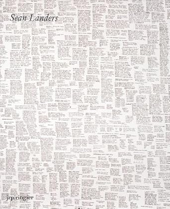 sean landers 1st edition beatrix ruf ,sean landers ,caoimhin mac giolla leith ,alex fahrquharson 3905829878,