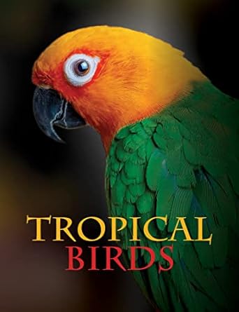 tropical birds 1st edition tom jackson 1838861963, 978-1838861964