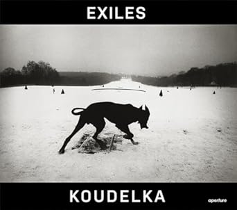josef koudelka exiles 1st edition josef koudelka ,czeslaw milosz ,robert delpire ,stuart alexander