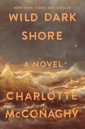 wild dark shore a novel 1st edition charlotte mcconaghy 1250827957, 978-1250827951