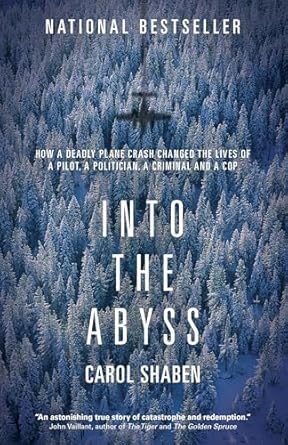 into the abyss how a deadly plane crash changed the lives of a pilot a politician a criminal and a cop 1st