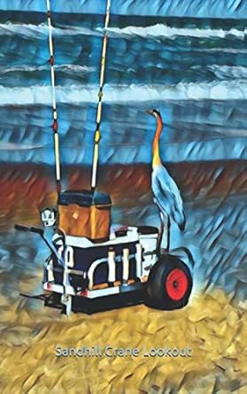 sandhill crane lookout 1st edition lanta willow wright 165283382x, 978-1652833826