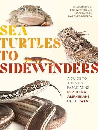 sea turtles to sidewinders a guide to the most fascinating reptiles and amphibians of the west 1st edition