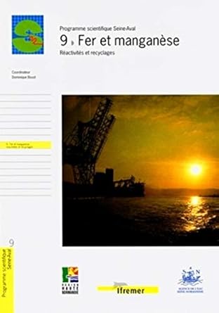 9 fer et manganese reactivites et recyclages reactivites et recyclages 1st edition