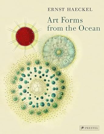 art forms from the ocean the radiolarian prints of ernst haeckel 1st edition olaf breidbach 3791333275,