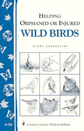 helping orphaned or injured wild birds storeys country wisdom bulletin a 210 1st edition diane scarazzini
