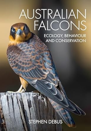 australian falcons ecology behaviour and conservation 1st edition stephen debus 1486315763, 978-1486315765