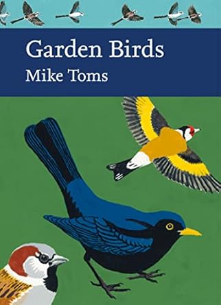 garden birds 1st edition mike toms 0008164746, 978-0008164744