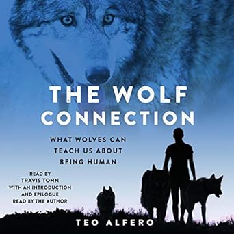 the wolf connection what wolves can teach us about being human 1st edition teo alfero ,travis tonn