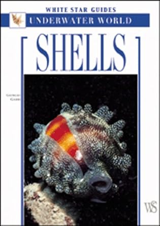 shells white star guides underwater world 1st edition giorgio gabbi 8854400939, 978-8854400931