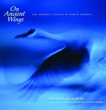 on ancient wings the sandhill cranes of north america 1st edition michael forsberg ,james harris ,dr george