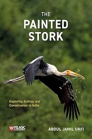 the painted stork 1st edition abdul jamil urfi 1784274399, 978-1784274399