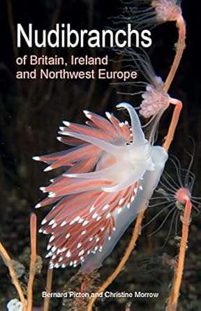 nudibranchs of britain ireland and northwest europe 1st edition bernard picton ,christine morrow 0691208794,