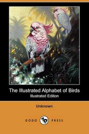 the illustrated alphabet of birds 1st edition unknown 1406550051, 978-1406550054