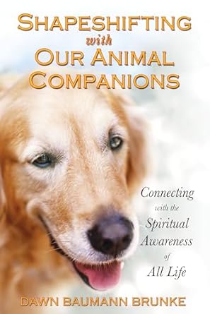 shapeshifting with our animal companions connecting with the spiritual awareness of all life 1st edition dawn