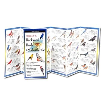 earth sky + water foldingguide sibleys backyard birds of the mid atlantic 10 panel foldable laminated nature