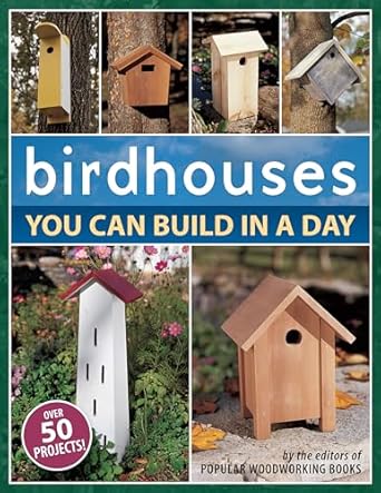 birdhouses you can build in a day 1st edition popular woodworking 1558707042, 978-1558707047