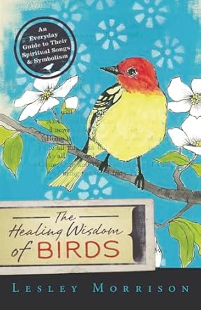 the healing wisdom of birds an everyday guide to their spiritual songs and symbolism 1st edition lesley
