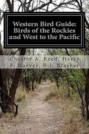western bird guide birds of the rockies and west to the pacific 1st edition r i brasher, chester a reed,